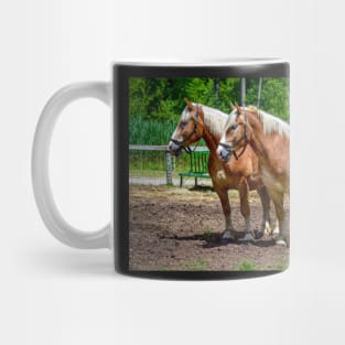 "Equine Duo" Mug